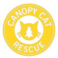 Canopy Cat Rescue