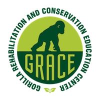 GRACE Gorillas