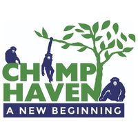 Chimp Haven