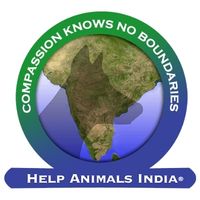 Help Animals India