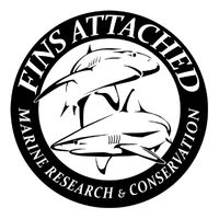 Fins Attached Marine Research and Conservation