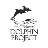 Dolphin Project