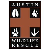 Austin Wildlife Rescue