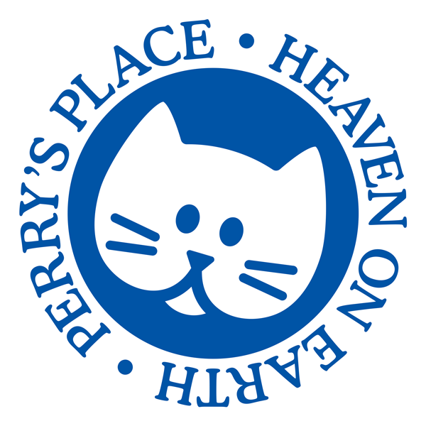 Heaven on Earth - Cat Rescue